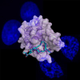 Image for article titled The Protein That Makes Sperm Such Speedy Swimmers